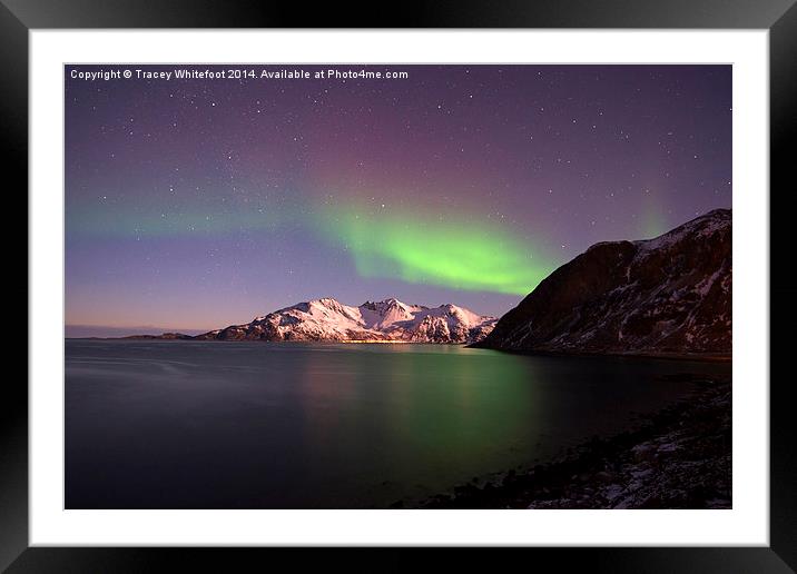 Grotfjord Aurora Framed Mounted Print by Tracey Whitefoot