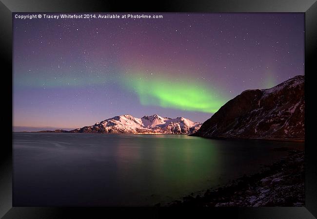 Grotfjord Aurora Framed Print by Tracey Whitefoot