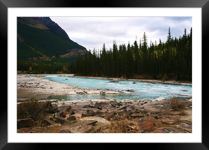 Athabasca River, Jasper, Alberta Framed Mounted Print by charlie Mellow