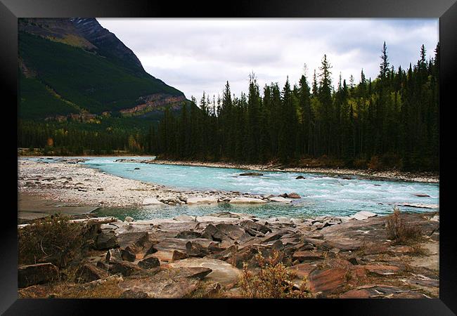 Athabasca River, Jasper, Alberta Framed Print by charlie Mellow