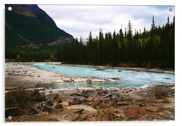 Athabasca River, Jasper, Alberta Acrylic by charlie Mellow