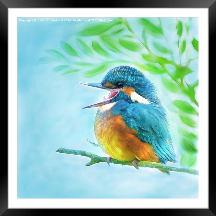  Happy little kingfisher Framed Mounted Print by Silvio Schoisswohl