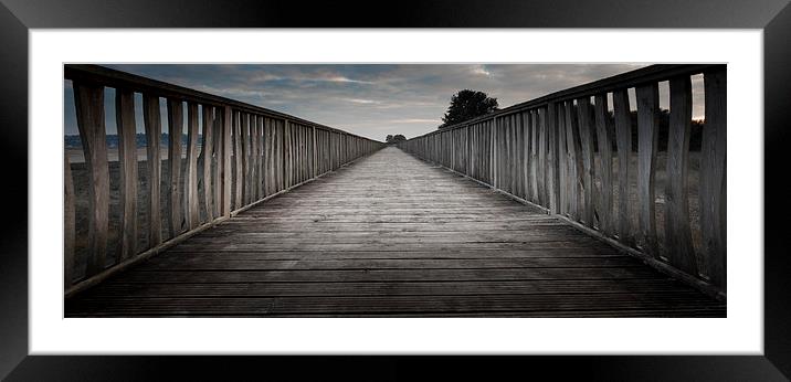  Wooden walkway  Framed Mounted Print by Leighton Collins