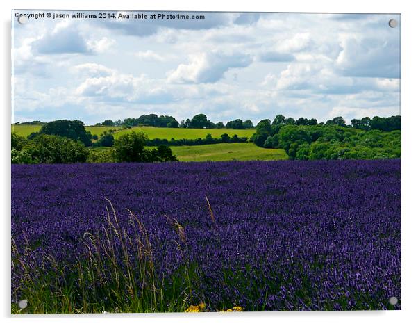 Cotswold Lavender & Landscape  Acrylic by Jason Williams