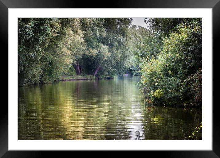  Up the River Ant Framed Mounted Print by Stephen Mole