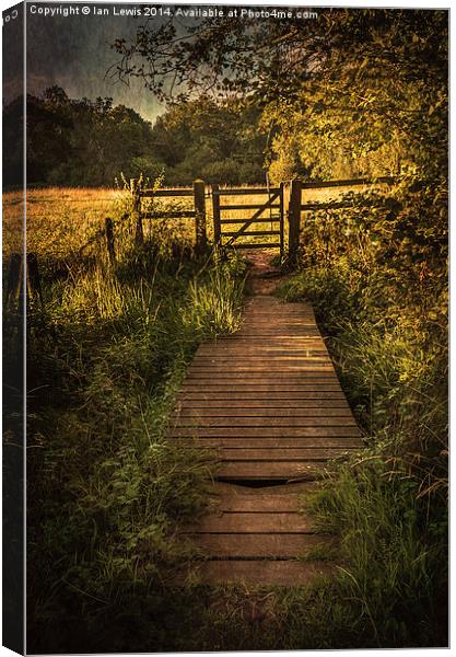  Gate into The Meadow Canvas Print by Ian Lewis