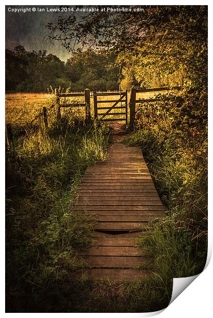  Gate into The Meadow Print by Ian Lewis