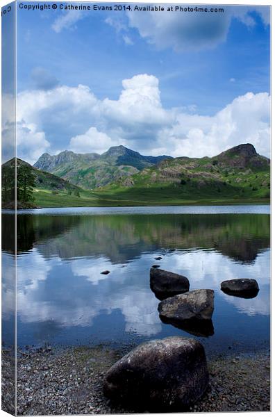  Blea Tarn Reflections Canvas Print by Catherine Fowler
