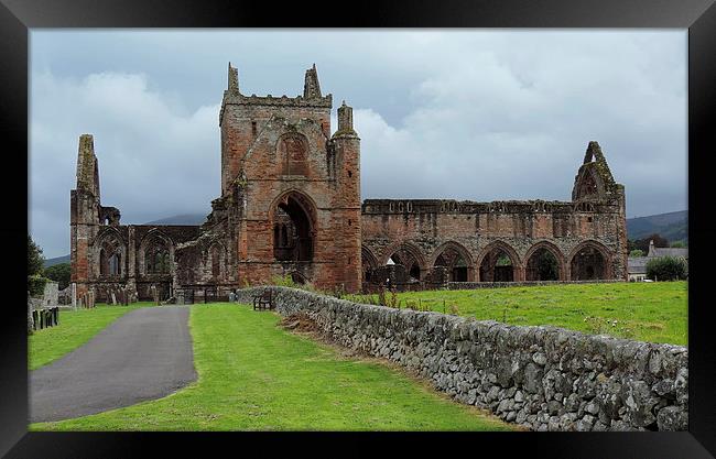  Sweetheart Abbey Framed Print by Anthony Michael 
