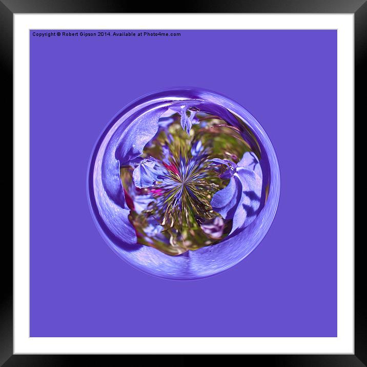  Flower purple in the globe Framed Mounted Print by Robert Gipson