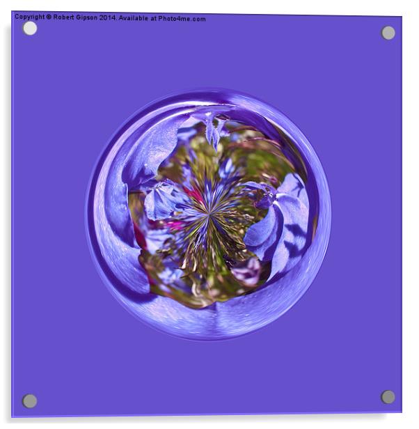  Flower purple in the globe Acrylic by Robert Gipson
