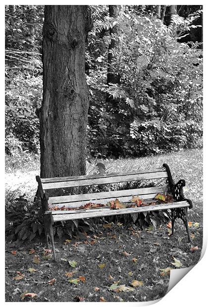 Lonely Autumn Bench Print by Jean Scott