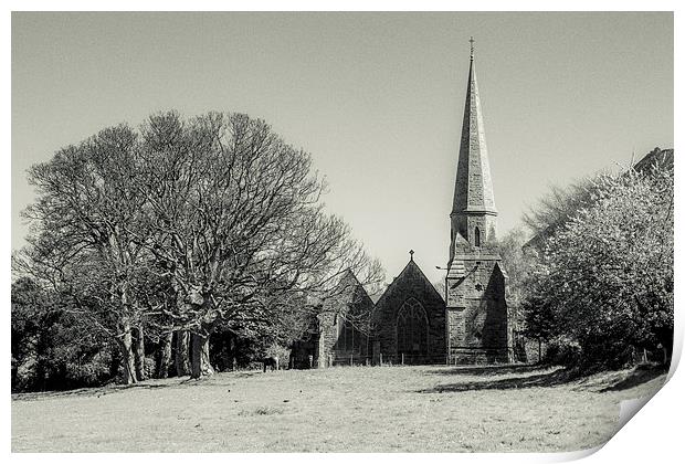  St. Mary's and Christ Church Print by Sean Wareing