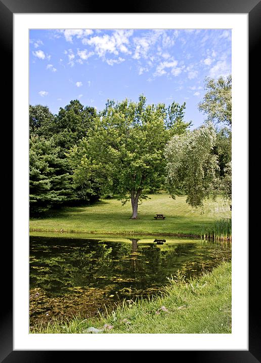  Perfect Spot For A Picnic Framed Mounted Print by Tom and Dawn Gari