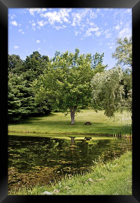  Perfect Spot For A Picnic Framed Print by Tom and Dawn Gari