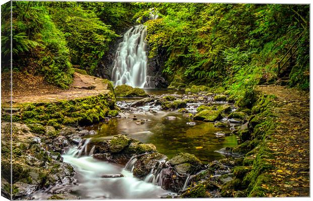 Glenoe Waterfall in Northern ireland Canvas Print by Alan Campbell
