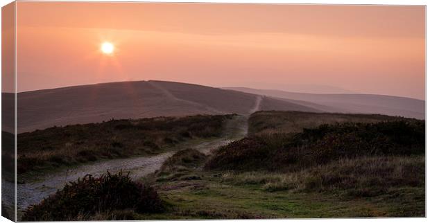  The road to Cefn Bryn, Gower Canvas Print by Leighton Collins
