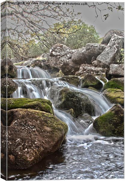  Moorland stream Canvas Print by Images of Devon
