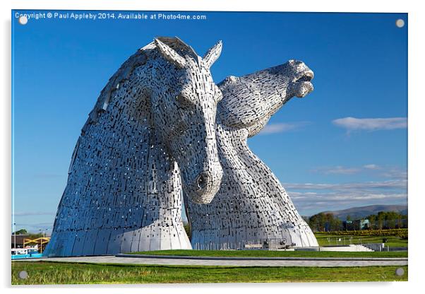 The Kelpies, Falkirk Acrylic by Paul Appleby