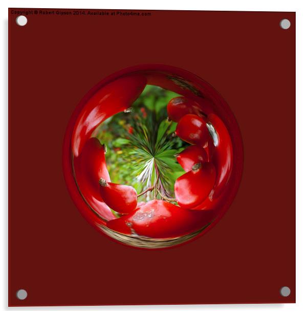  Berry Globe Acrylic by Robert Gipson