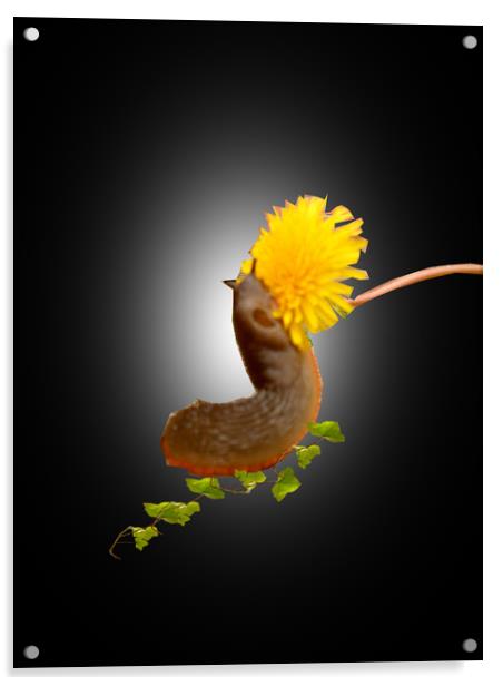 The Snail Feast. Acrylic by Heather Goodwin