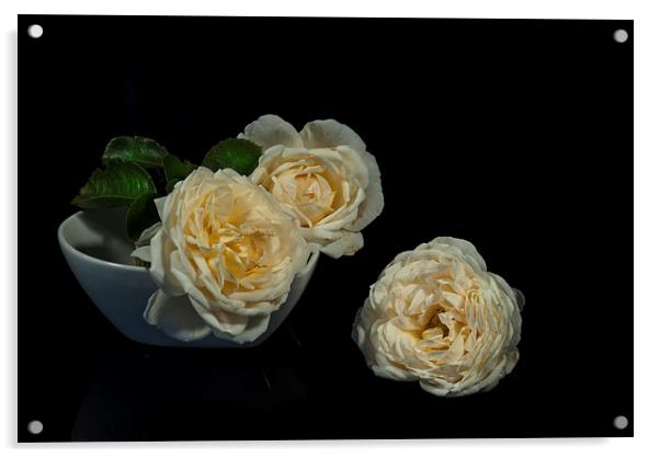 Cream roses still life Acrylic by Eddie John