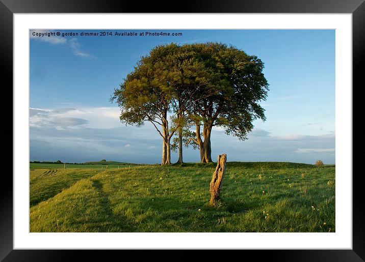 A Striking Tree on Roundway Hill Framed Mounted Print by Gordon Dimmer