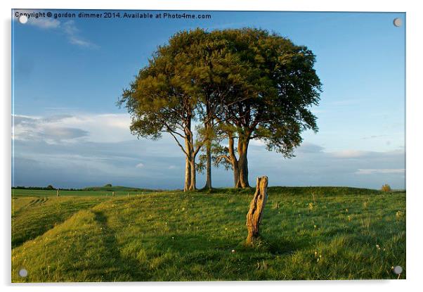A Striking Tree on Roundway Hill Acrylic by Gordon Dimmer
