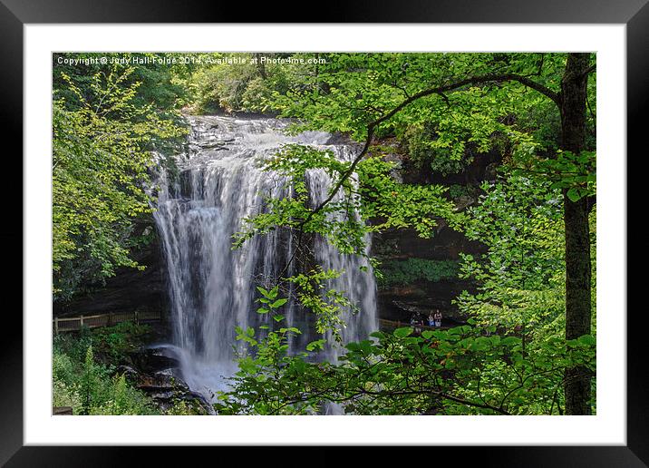  Natural Beauty Framed Mounted Print by Judy Hall-Folde