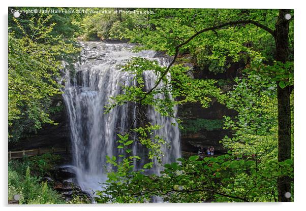  Natural Beauty Acrylic by Judy Hall-Folde