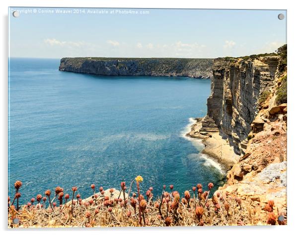Sunlit Cliffs at Sagres Acrylic by Corrine Weaver