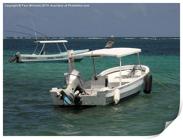 Pelican on a Boat  Print by Paul Williams