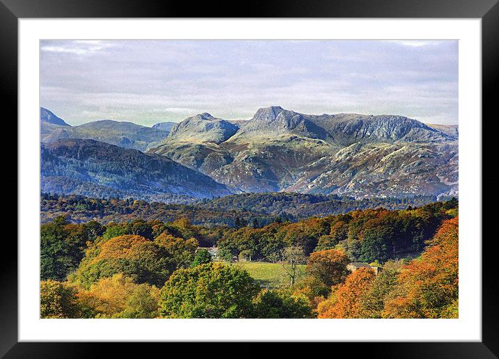 Lake District Framed Mounted Print by Irene Burdell