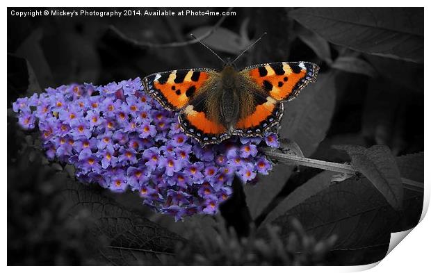  Butterfly Wings Print by rawshutterbug 