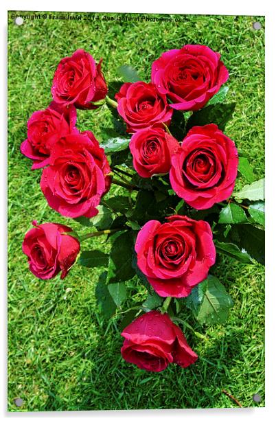  Beautiful Red Hybrid Tea roses Acrylic by Frank Irwin