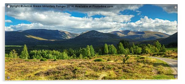  Rothiemurchus Views Acrylic by Jamie Green