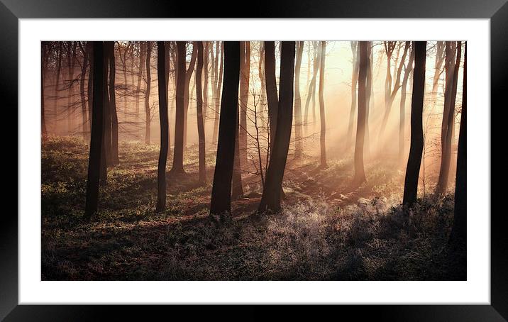  Winter Dawn Framed Mounted Print by Ceri Jones