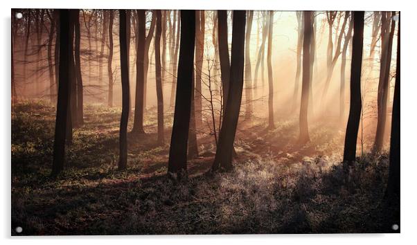  Winter Dawn Acrylic by Ceri Jones