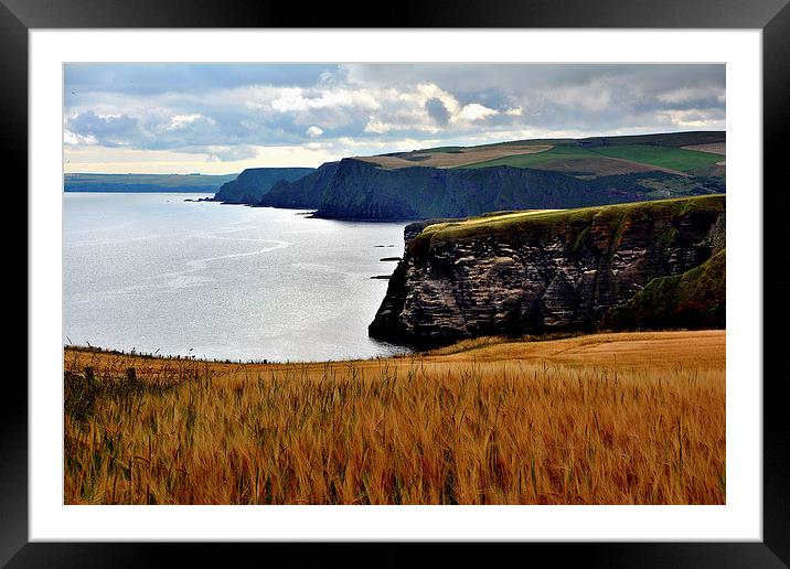  Troup Head. Framed Mounted Print by  