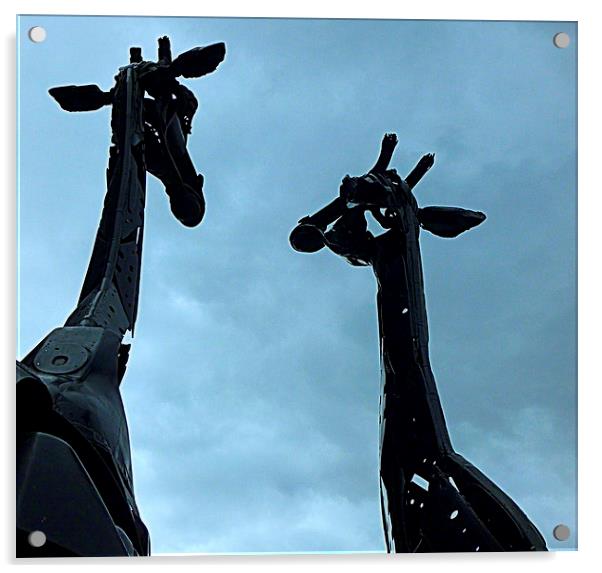  edinburgh's 2 giraffe's Acrylic by dale rys (LP)