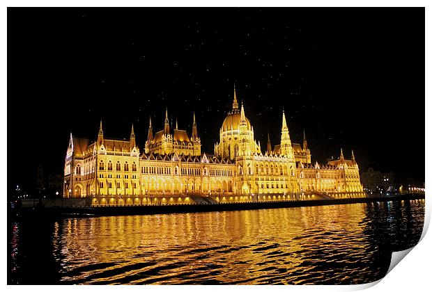 Parliament Building At Night Print by Tony Murtagh
