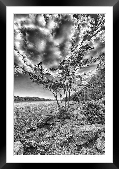  Tree at Loch Ness (in mono) Framed Mounted Print by Mark Godden