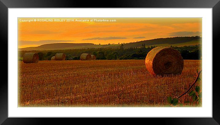 ...AND TOUCH THE STUBBLE PLAINS WITH ROSY HUE..... Framed Mounted Print by ROS RIDLEY