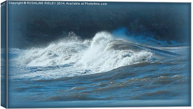 WAVES  Canvas Print by ROS RIDLEY