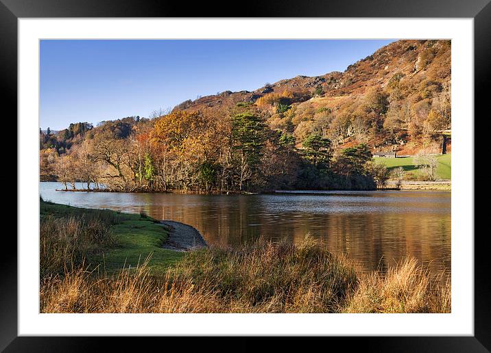 Rydal Water in Autumn  Framed Mounted Print by Ian Duffield