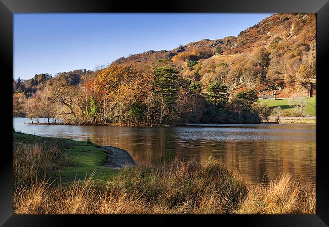Rydal Water in Autumn  Framed Print by Ian Duffield