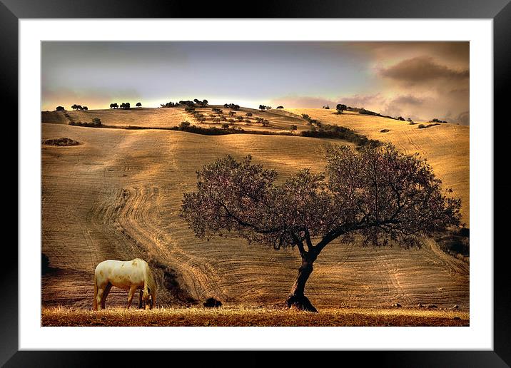  Rural Spain View Framed Mounted Print by Mal Bray