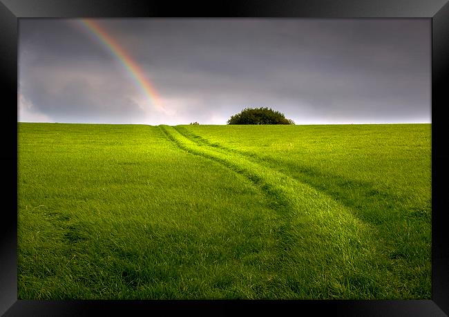  A track in a field leading to a rainbow Framed Print by Mal Bray
