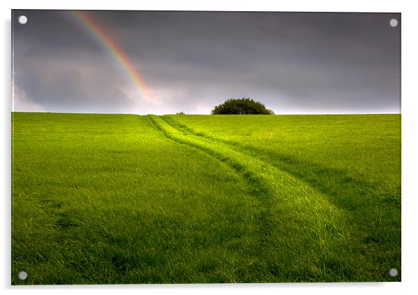  A track in a field leading to a rainbow Acrylic by Mal Bray