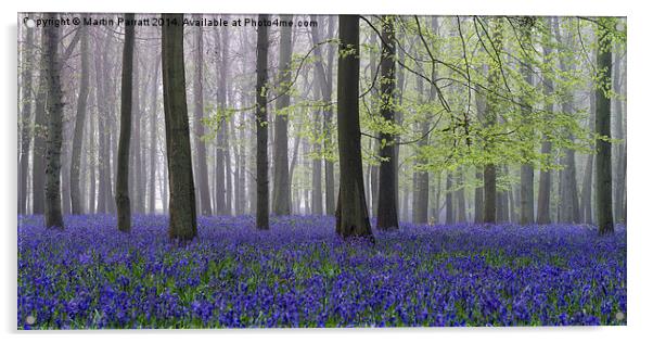  Bluebell Wood at Dawn Acrylic by Martin Parratt